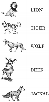 NCERT Solutions for English (Poem): Chapter 6-Zoo Manners
Let’s Do
Question 2