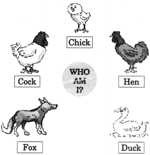 NCERT Solutions for English: Chapter 5-Funny Bunny
Let’s Do
Question 1.