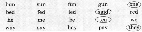 NCERT Solutions for English: Chapter 5-Funny Bunny
Let’s Write
Question 1.