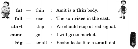 NCERT Solutions for English: Chapter 5-Funny Bunny
Let’s Write
Question 2