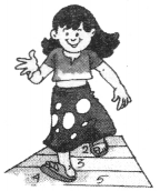 NCERT Solutions for English (Poem): Chapter 8-On My Blackboard I can Draw
Fun Time
Question 1.