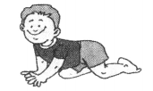 NCERT Solutions for English (Poem): Chapter 8-On My Blackboard I can Draw
Fun Time
Question 1.