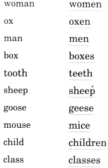 NCERT Solutions for English (Poem): Chapter 9-I am the Music Man
Let’s Write
Question 3