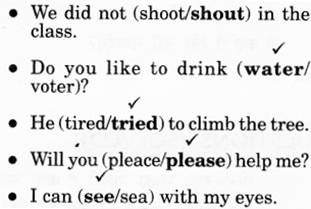NCERT Solutions for English (Poem): Chapter 11-Strange Talk
Let’s Write
Question 2