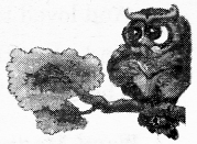 NCERT Solutions for English (Poem): Chapter 11-Strange Talk
Let’s Write
Question 5