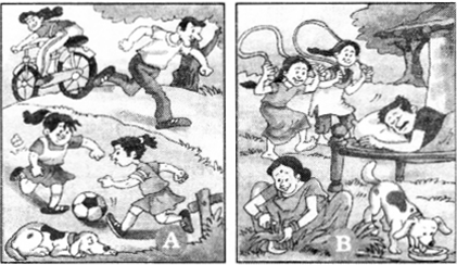 NCERT Solutions for English: Chapter 10-The Grasshopper and the Ant
Let’s Write
Question 2
