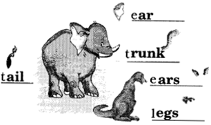 NCERT Solutions for English (Poem): Chapter 3-I am Lucky
Let’s Draw
Que. 1