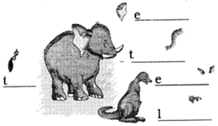 NCERT Solutions for English (Poem): Chapter 3-I am Lucky
Let’s Draw
Que. 1