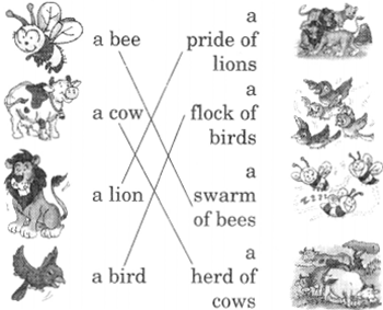 NCERT Solutions for English: Chapter 2-I Want
Word Building
Question 1.