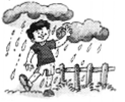 NCERT Solutions for English (Poem): Chapter 5-Rain
Let’s Sing
Question 1.