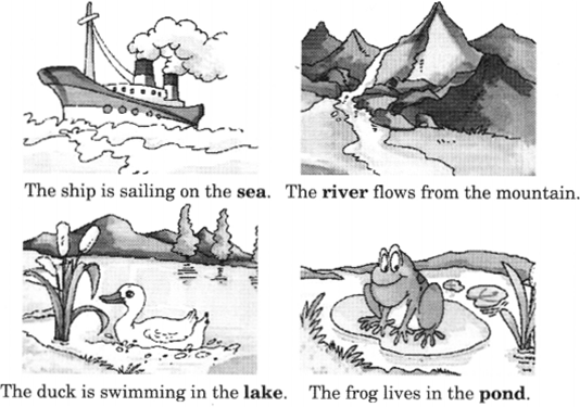 NCERT Solutions for English (Poem): Chapter 5-Rain
Let’s Write
Question 1.