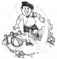 NCERT Solutions for English: Chapter 4-Storm in the Garden
Let’s Sing
Question 1.