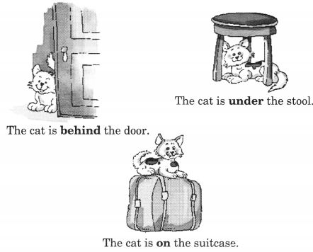 NCERT Solutions for English: Chapter 4-Storm in the Garden
Let’s Write
Question 1.