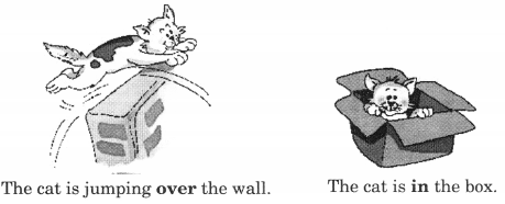 NCERT Solutions for English: Chapter 4-Storm in the Garden
Let’s Write
Question 1.