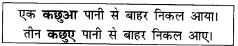 NCERT Solutions for Hindi: Chapter 5-दोस्त की मदद
एक से अनेक