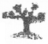 NCERT Solutions for Maths: Chapter 14-Birds Come, Birds Go
Que. 10 (a)