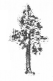 NCERT Solutions for Maths: Chapter 14-Birds Come, Birds Go
Que. 10 (b)