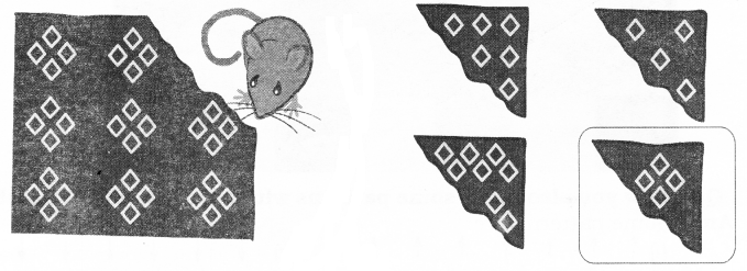 NCERT Solutions for Maths: Chapter 5-Patterns
Page 31-32
Que. 1