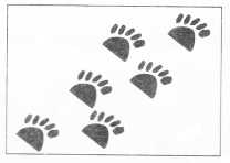 NCERT Solutions forMaths: Chapter 6-Footprints
Que. 2