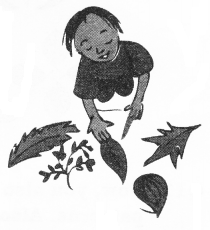 NCERT Solutions forMaths: Chapter 6-Footprints
Que. 4