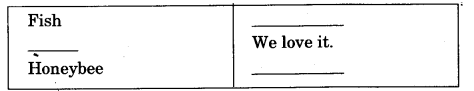 NCERT Solutions for 3rd Class Environmental Studies: Chapter 19-Our Friends-Animal Que. 8