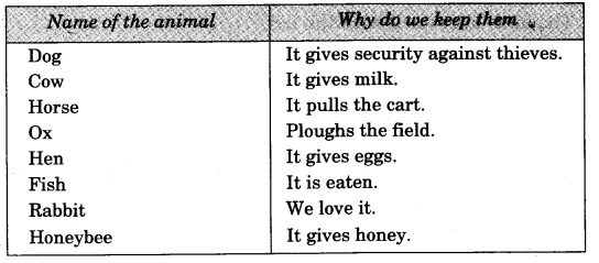 NCERT Solutions for 3rd Class Environmental Studies: Chapter 19-Our Friends-Animal Que. 8