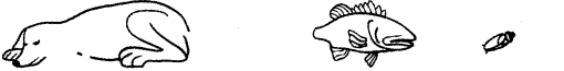 NCERT Solutions for 3rd Class Environmental Studies: Chapter 1-Poonams Day Out Que. 5