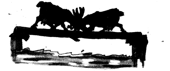 NCERT Solutions for 3rd Class English: Chapter 10-The Ship of the Desert
Let’s Write
(1)