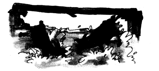 NCERT Solutions for 3rd Class English: Chapter 10-The Ship of the Desert
Let’s Write
(1)