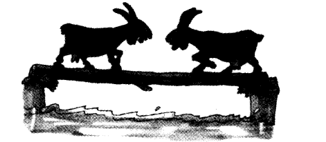 NCERT Solutions for 3rd Class English: Chapter 10-The Ship of the Desert
Let’s Write
(1)