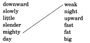 NCERT Solutions (Poem): Chapter 3-Little by Littl Que. 4