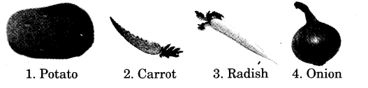 NCERT Solutions for 3rd Class English: Chapter 3-The Enormous Turnip 
Talk Time
(i)