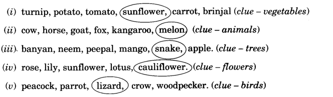 NCERT Solutions for 3rd Class English: Chapter 3-The Enormous Turnip 
Vocabulary
(1)
