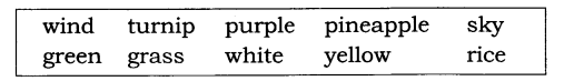 NCERT Solutions for 3rd Class English (Poem): Chapter 5-The Balloon Man Que. Word Building (ii)