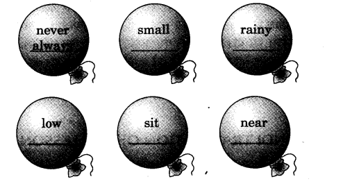 NCERT Solutions for 3rd Class English (Poem): Chapter 5-The Balloon Man Que. Word Building (iv)