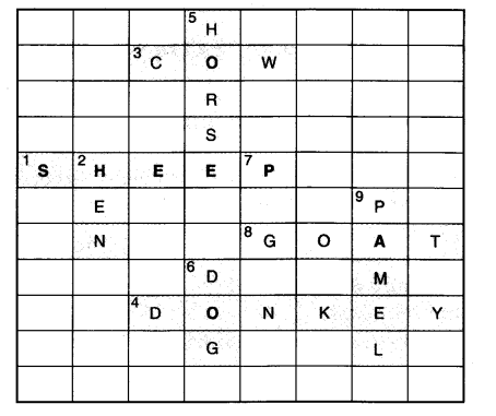 NCERT Solutions for 3rd Class English: Chapter 7-Little Tiger, Big Tiger
Team Time
(i)