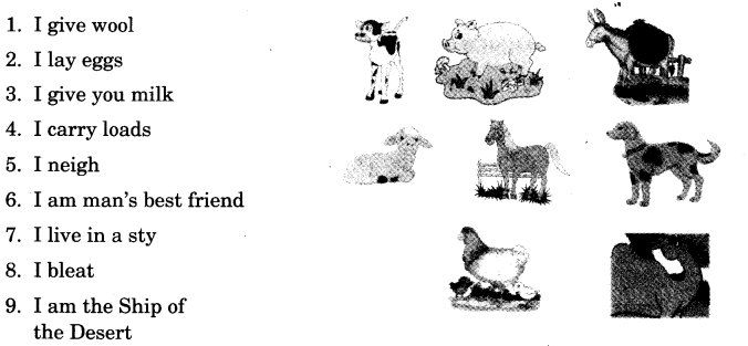 NCERT Solutions for 3rd Class English: Chapter 7-Little Tiger, Big Tiger
Team Time
(i)
