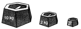 NCERT Solutions for 3rd Class Maths: Chapter 8-Who is Heavier?