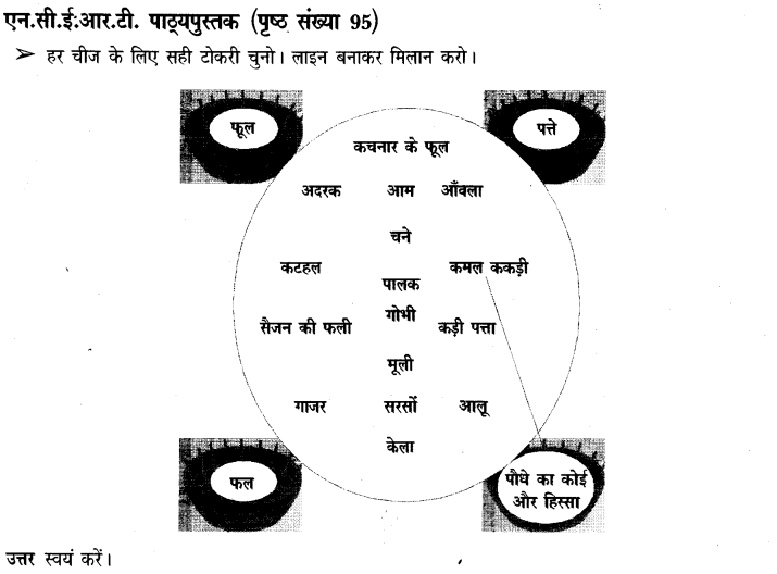 NCERT Solutions for Class 3rd Environmental Science –(पर्यावरण अध्ययन): Chapter 14-कहां से आया ,किसने पकाया?