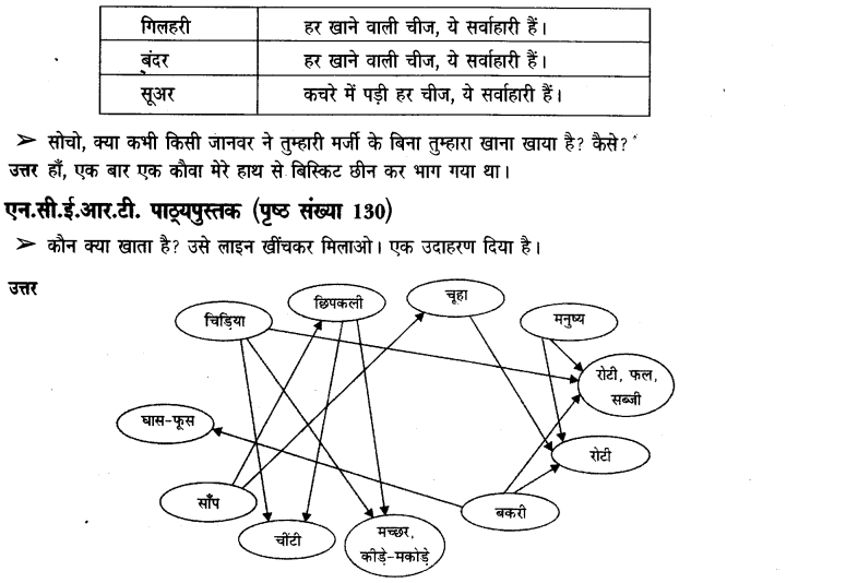 NCERT Solutions for Class 3rd Environmental Science –(पर्यावरण अध्ययन): Chapter 19-हमारे साथी जानवर