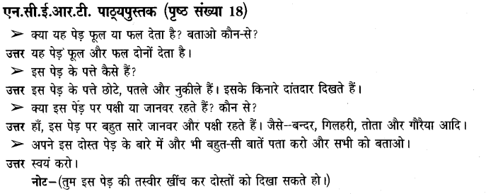 NCERT Solutions for Class 3rd Environmental Science –(पर्यावरण अध्ययन): Chapter 2-पाैधों की परी