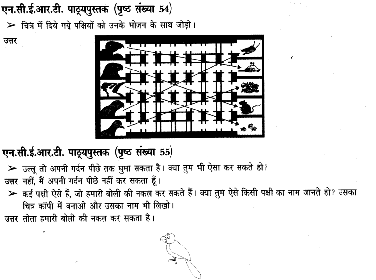 NCERT Solutions for Class 3rd Environmental Science –(पर्यावरण अध्ययन): Chapter 8-पंख फैलाए उड़ते जाएं