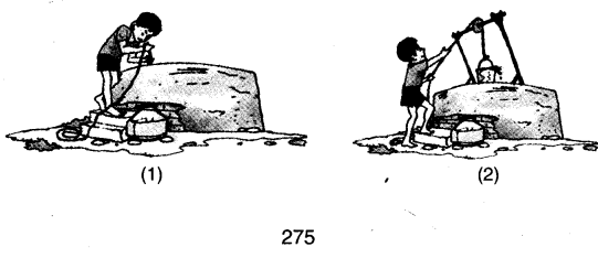 NCERT Solutions for 4th Class Environmental Studies Chapter 1-Going To School