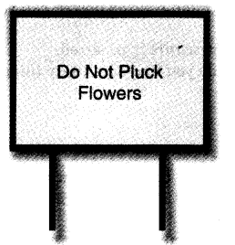 NCERT Solutions for 4th Class Environmental Studies Chapter 11-Valley Of Flowers