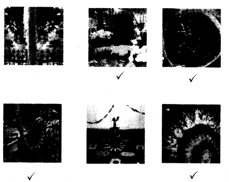 NCERT Solutions for 4th Class Environmental Studies Chapter 11-Valley Of Flowers