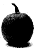 NCERT Solutions for 4th Class Environmental Studies Chapter 15-From Market To Home