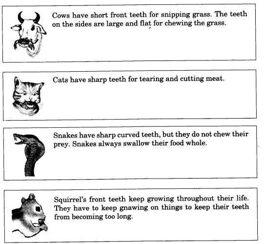 NCERT Solutions for 4th Class Environmental Studies Chapter 16-A Busy Month