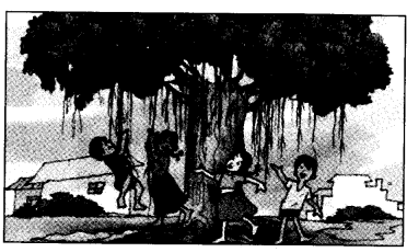 NCERT Solutions for 4th Class Environmental Studies Chapter 19-Abdul In The Garden