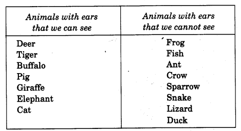 NCERT Solutions for 4th Class Environmental Studies Chapter 2-Ear To Ear