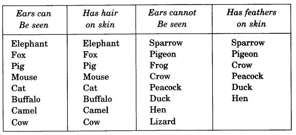 NCERT Solutions for 4th Class Environmental Studies Chapter 2-Ear To Ear